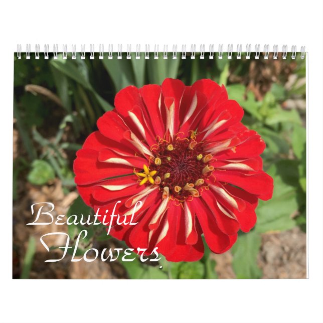 Vackra blommor - fotografi kalender (Omslag)