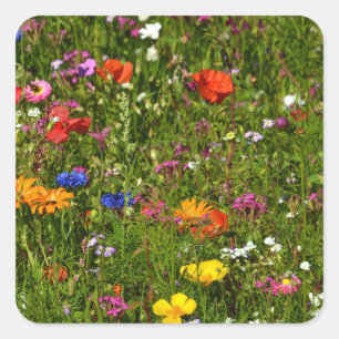 vackra blommor fyrkantigt klistermärke
