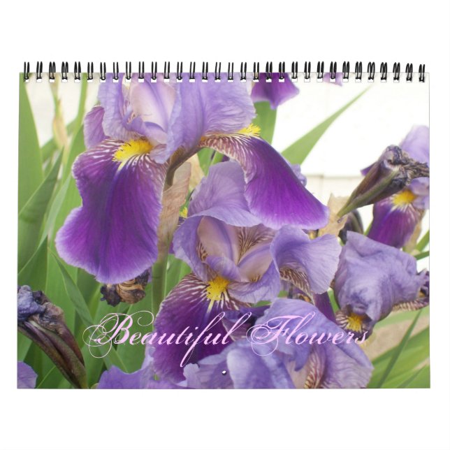 Vackra blommor - kalender (Omslag)