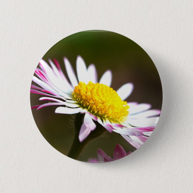 vackra blommor kronblad romantik romantisk bröllop knapp (Framsida)