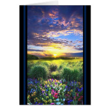 Vackra blommor liggande