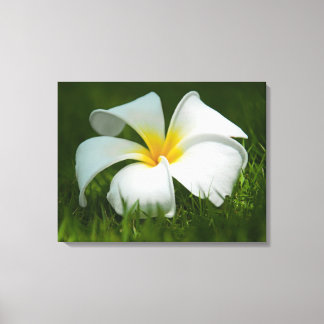 Vackra blommor nära - Wrapped Canvas