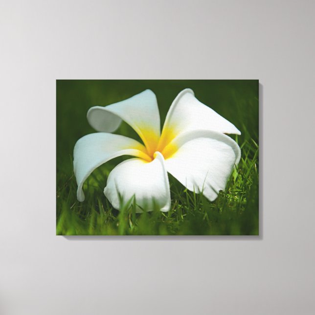 Vackra blommor nära - Wrapped Canvas (Framsida)