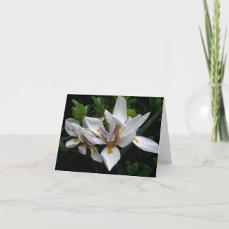Vackra Blommor notecard Kort