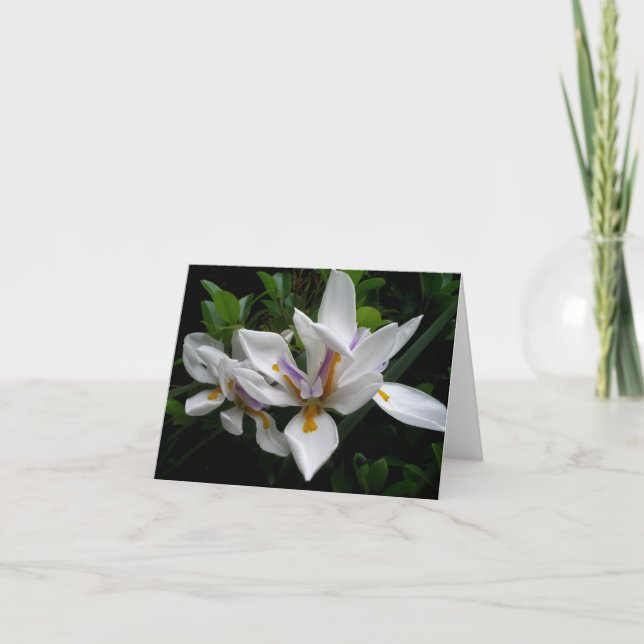 Vackra Blommor notecard Kort (Framsida)