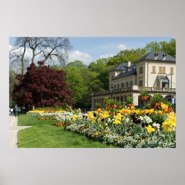 Vackra blommor och hus poster (Framsidan)