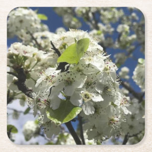 Vackra blommor Underlägg uppsättning Papper Kvadrat