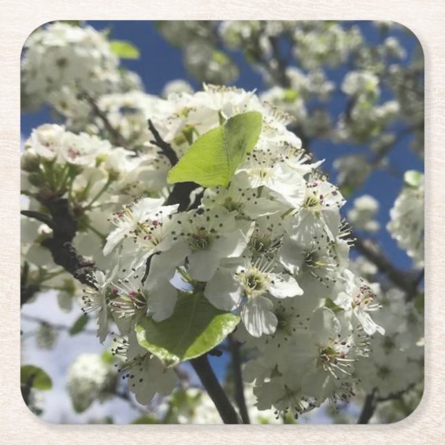 Vackra blommor Underlägg uppsättning Papper Kvadrat (Framsidan)