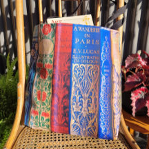 Vackra Bok Spines