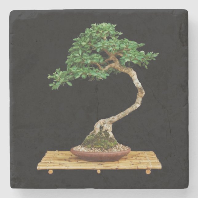 Vackra Bonsai Träd Stone Underlägg (Framsidan)