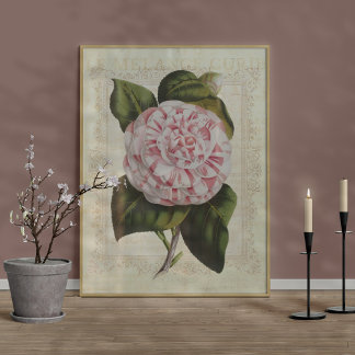 Vackra botaniska utskriften Camellia Flower Poster