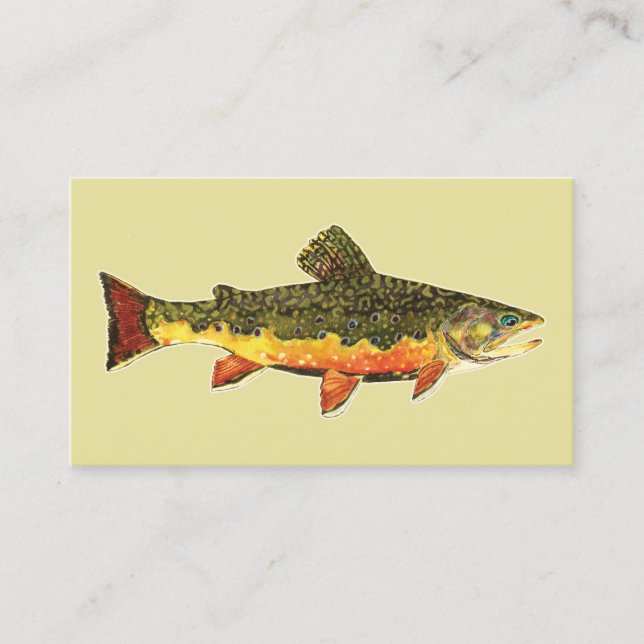 Vackra Brook Trout, Fiske, Ichthyologi Visitkort (Framsida)