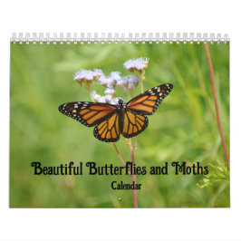 Vackra Butterflies och Moths kalender