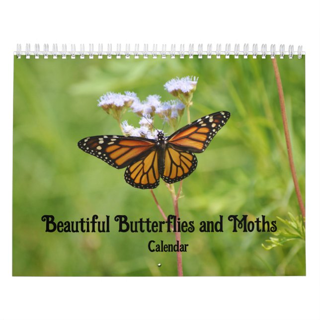 Vackra Butterflies och Moths kalender (Omslag)