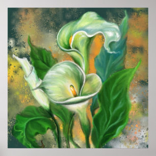 Vackra Calla Lily Flower - Miged Art Teckning Poster