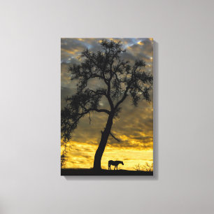 Vackra Canvas Horse och Oak Träd med Soluppgång