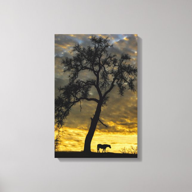 Vackra Canvas Horse och Oak Träd med Soluppgång (Framsida)