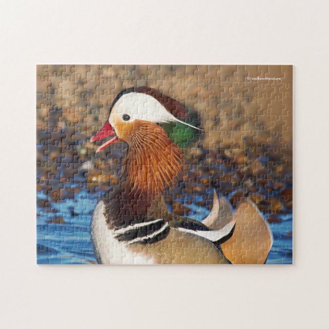 Vackra Chatty Mandarin Anka vid dammen Pussel (Horisontell)