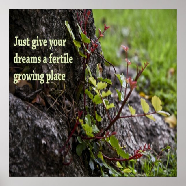 Vackra citat poster (Framsidan)