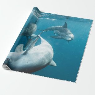 Vackra Cute Dolphins Presentpapper