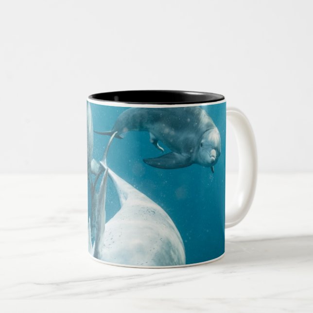 Vackra Cute Dolphins Två-Tonad Mugg (Framsida höger)