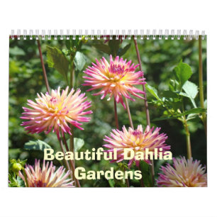 Vackra Dahlia Trädgårdar Kalendrar Blommiga Foton Kalender