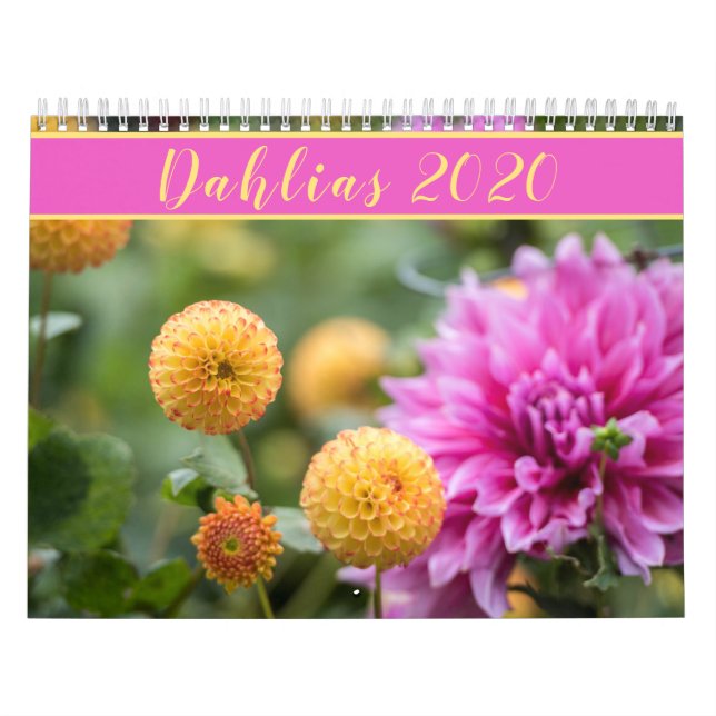 Vackra Dahlias 2020 Kalender (Omslag)