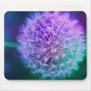 Vackra Dandelion på Grönt och blå bakgrund Musmatta