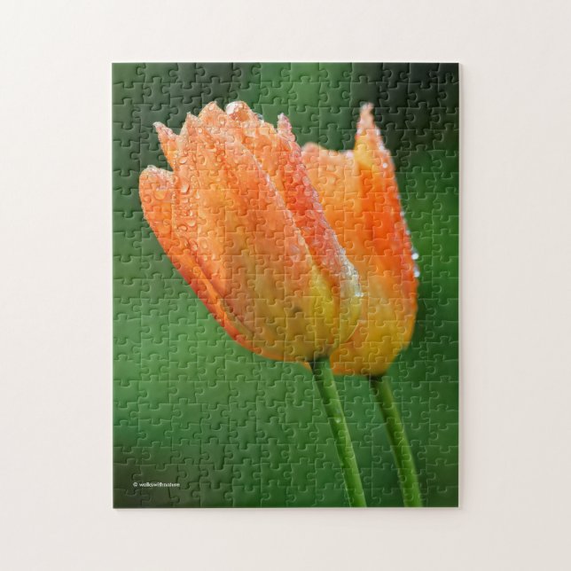 Vackra Dew-Kissed Pastel Orange Tulips Pussel (Vertikal)