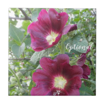 Vackra, djupa rödblommor och Grönt Löv