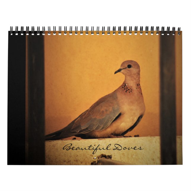 Vackra Doves Calendar Kalender (Omslag)