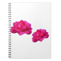 Vackra dubbla rosrosa blommor