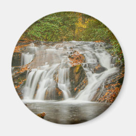 Vackra Dukes bäck vattenfall i N. Georgia Magnet