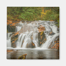 Vackra Dukes bäck vattenfall i N. Georgia Magnet