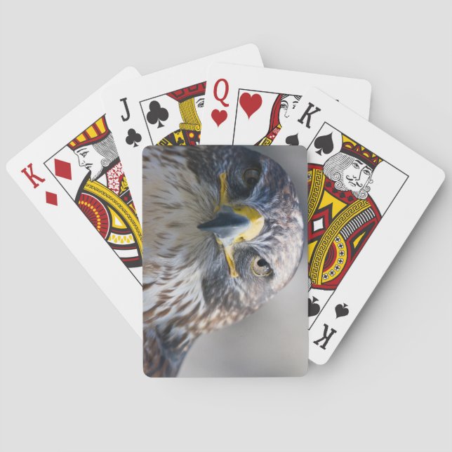 Vackra Eagle-dekan av spelkort (Baksidan)