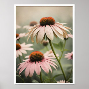 Vackra Echinacea Flower Poster Wall Art