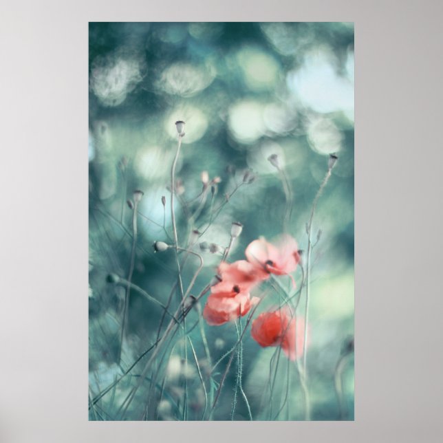 Vackra Eleganter Abstrakt Dreamy Poppies Flowers Poster (Framsidan)