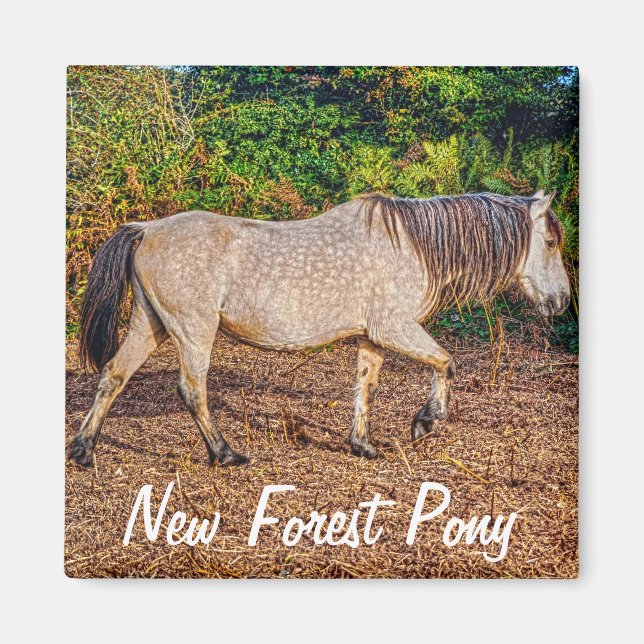 Vackra Equines Horse-älskare Gift Magnet (Framsidan)