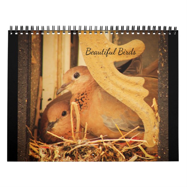 Vackra fåglar kalender (Omslag)