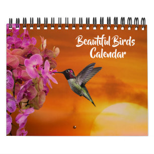 Vackra Fåglar Liten Storlek Kalender