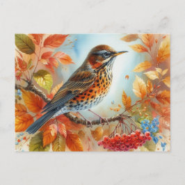 Vackra fåglar, sommarlandskap 9 vykort