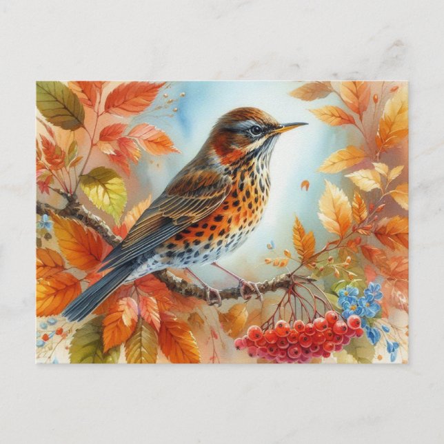 Vackra fåglar, sommarlandskap 9 vykort (Framsida)