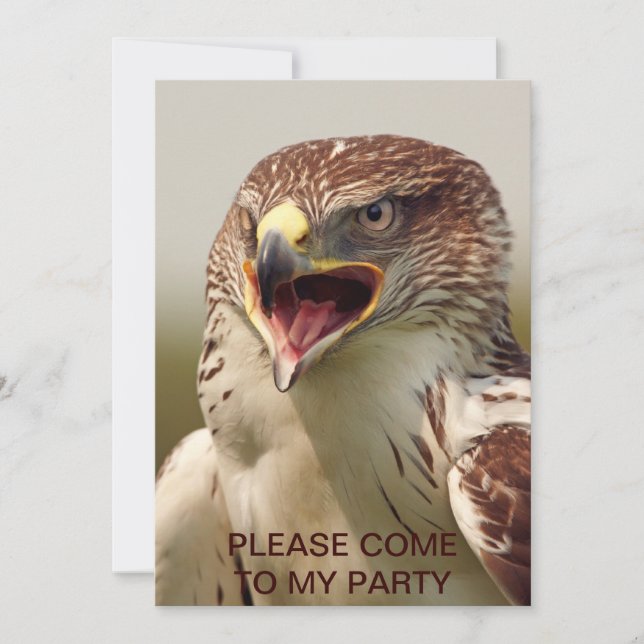 Vackra Falcon-inbjudan Inbjudningar (Framsida)