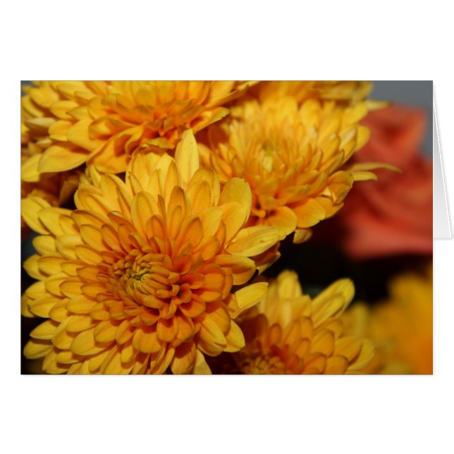 Vackra Fall Flowers OBS Kort (Framsidan Horizontal)