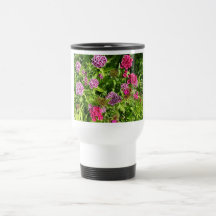 vackra färg blommor