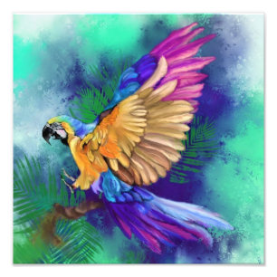 Vackra Färg Parrot Poster målning