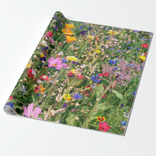 vackra färgade ängar av vild blommor presentpapper