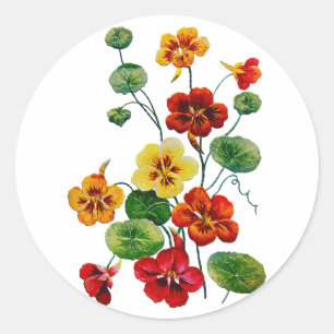 Vackra färgade broderade nasturtium runt klistermärke