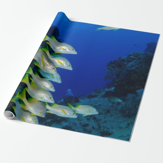 Vackra färgade fisken | Bästa gåva till havs Presentpapper (Utrullad)