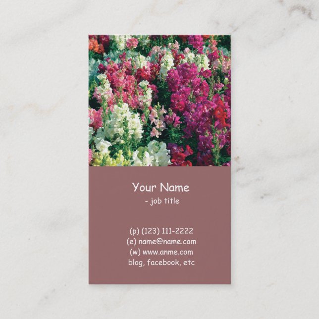 vackra färgglada trädgårdsblommor visitkort (Framsida)